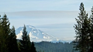 Antlers Campground in shadow of Mt. Shasta