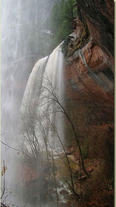 Hiking Zion National Park’s Emerald Pools Trails