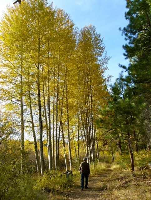 An incredible campground in southcentral Oregon: Collier Memorial State Park