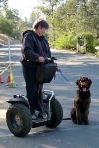 Creatures roam in Sierra foothills RV park