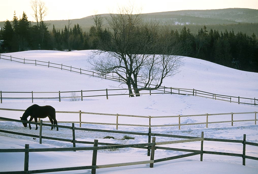 From the ragged edge of Christmas, Peace