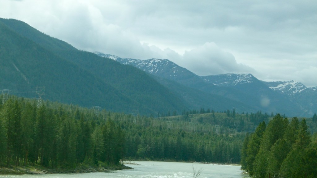 Boondocking near Bumblebee Creek in Idaho Panhandle National Forests