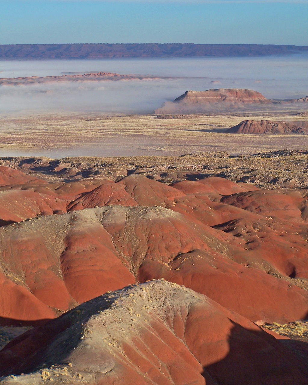 Petrified Forest National Park amazing spring, autumn RV Short Stop in desert southwest