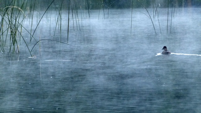 Peaceful Bonaparte Lake, tucked near Canadian border