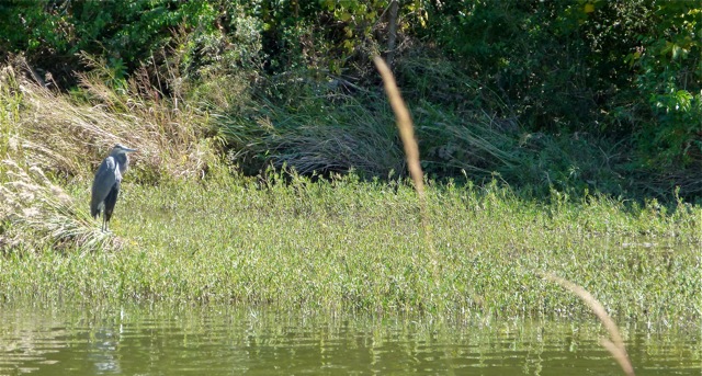 Texas’ Blanco State Park good central location for RVers visiting Hill Country