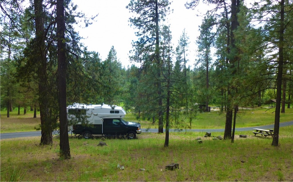 DragoonCreekDNR_site3_JulianneGCrane