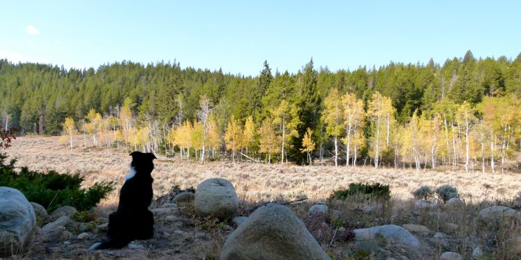 ‘Share the Experience’ looking for Autumn images of public lands