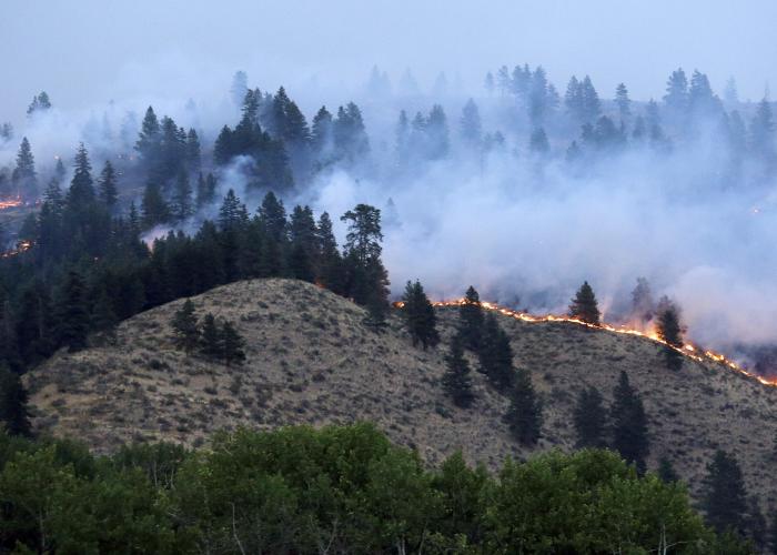 Wildfires continue to scorch Northwest wild lands