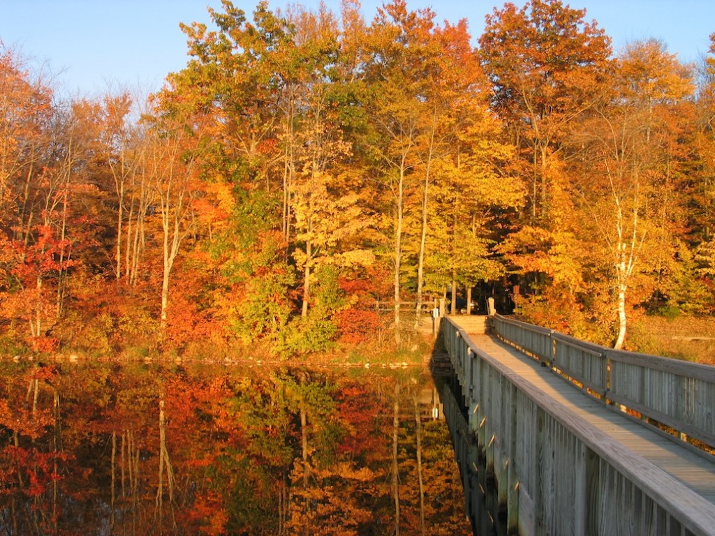 Autumn camping destination #2: Colwell Lake Campground UP Michigan