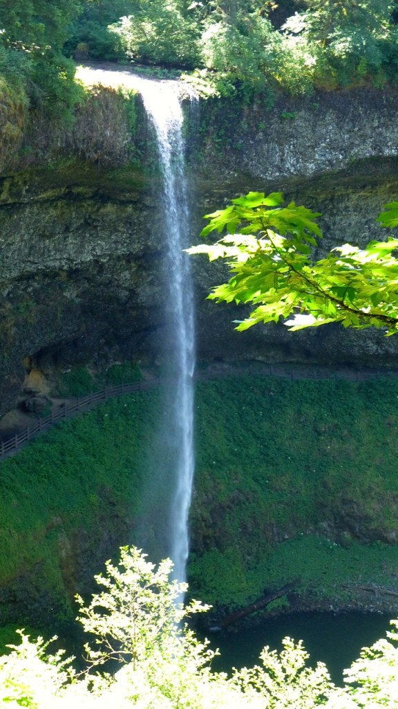 Oregon’s Silver Falls State Park favorite family spot