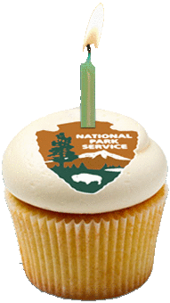 NPS_cupcake
