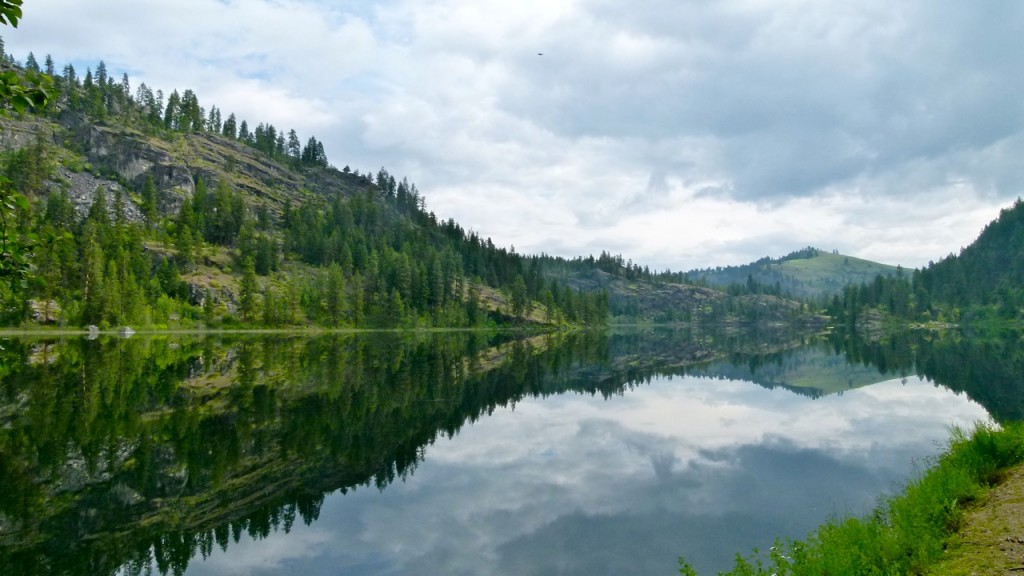 LakeEllenWashington_reflection_JulianneGCrane