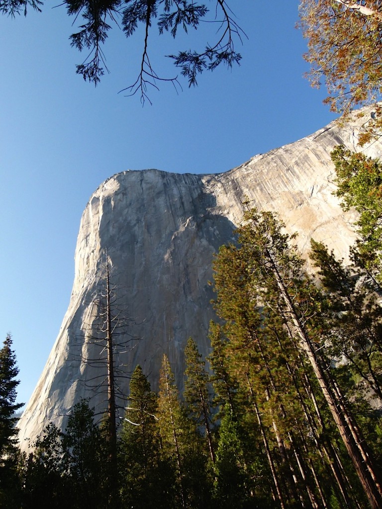 Yosemite_ElCapitan_JulianneGCrane