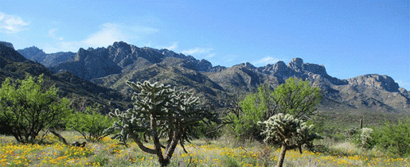 On-going activities at Catalina State Park, Tucson