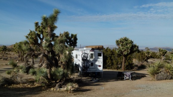 Joshua Tree National Park – Black Rock Canyon