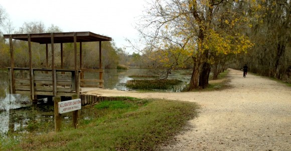 Brazos Bend (Texas) State Park, great family camping, bicycling, birding, gator watching