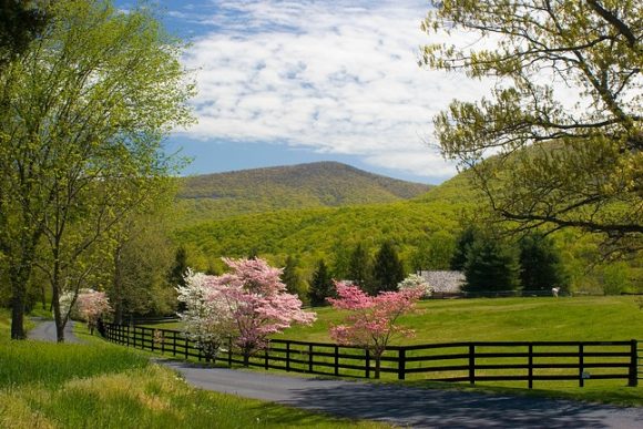 Bluegrass fans, RVers head for Blue Ridge Mountains