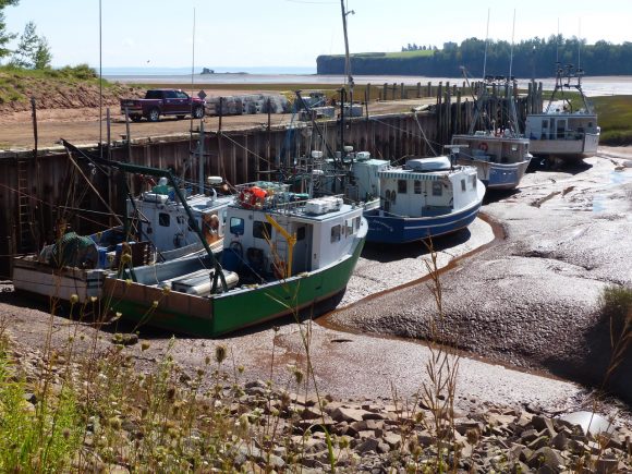 RVing the Maritimes with Kevin & Janie Justis, part 14: Bay of Fundy, Nova Scotia